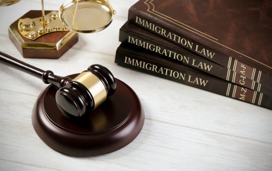 Federal Government Partial Shut-Down Affects Some Immigration Cases